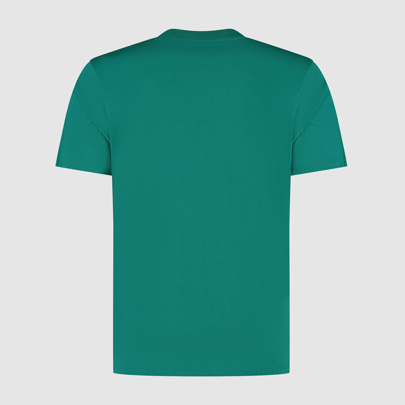AMF1 FW MENS GRAPH GRAPHIC TEE - green